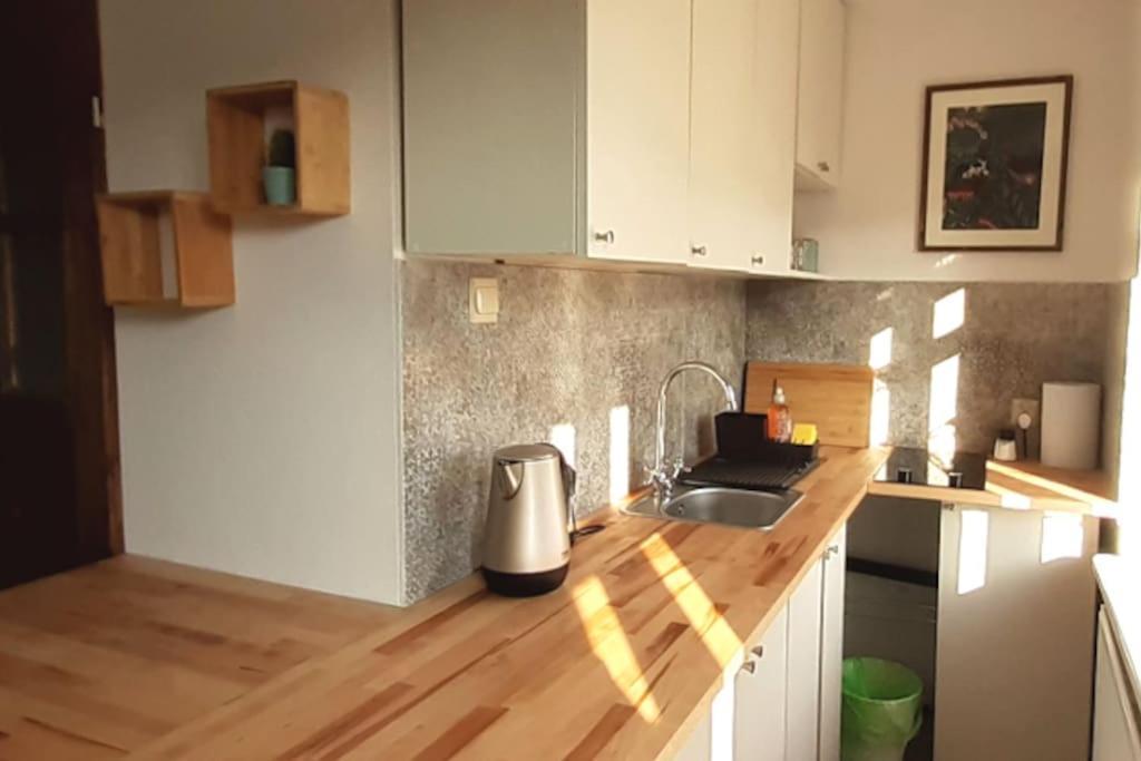 Lemuria Apartament Szkolna centrum Legnica Exterior foto