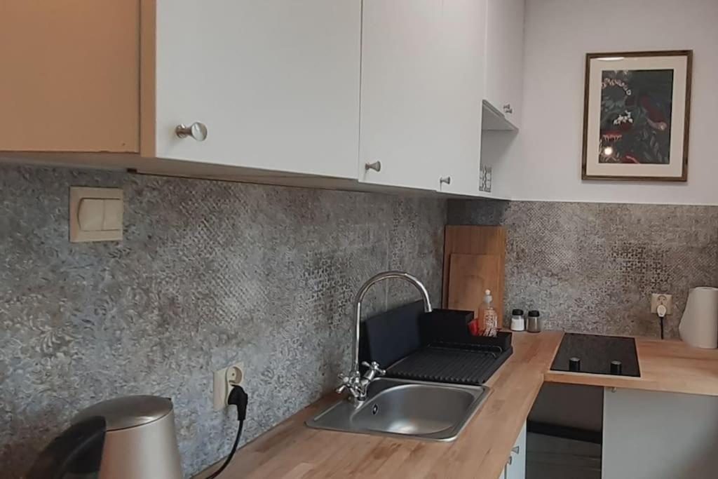 Lemuria Apartament Szkolna centrum Legnica Exterior foto